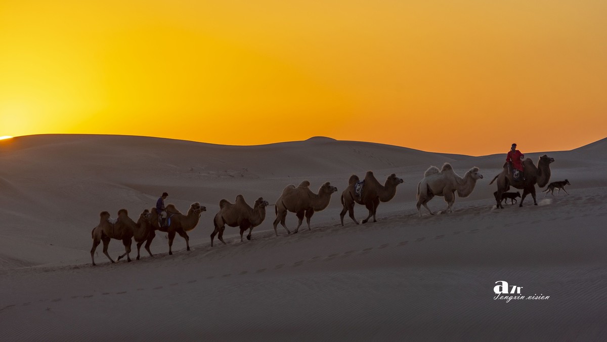 沙漠中的一支驼队(24)
