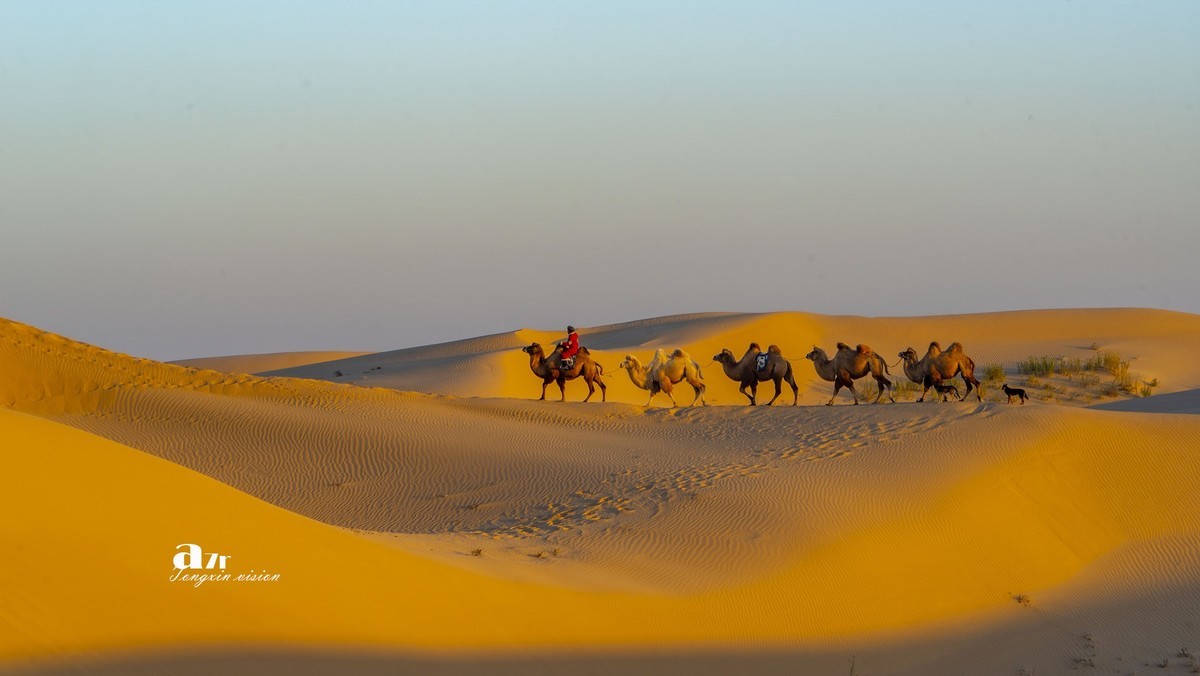 沙漠中的一支驼队(24)