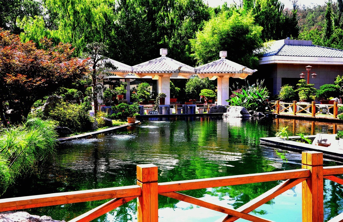 美丽的世博园风光