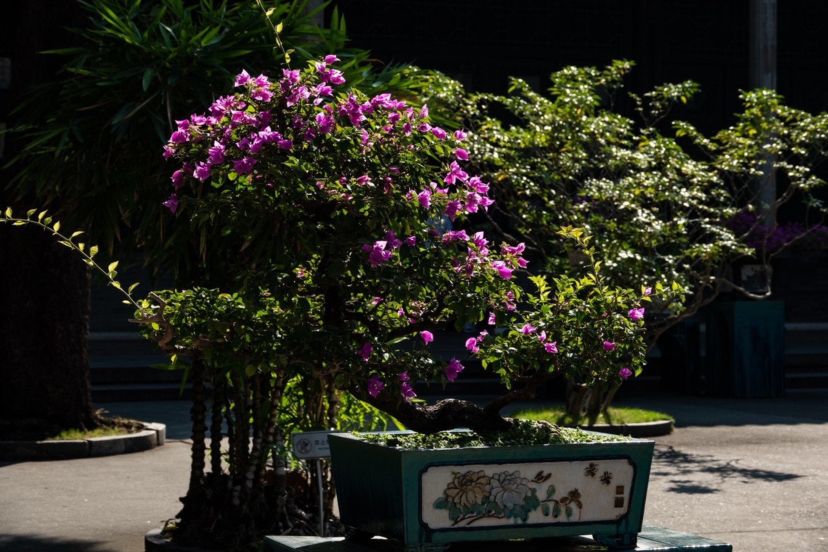 祠堂与雕塑（14）