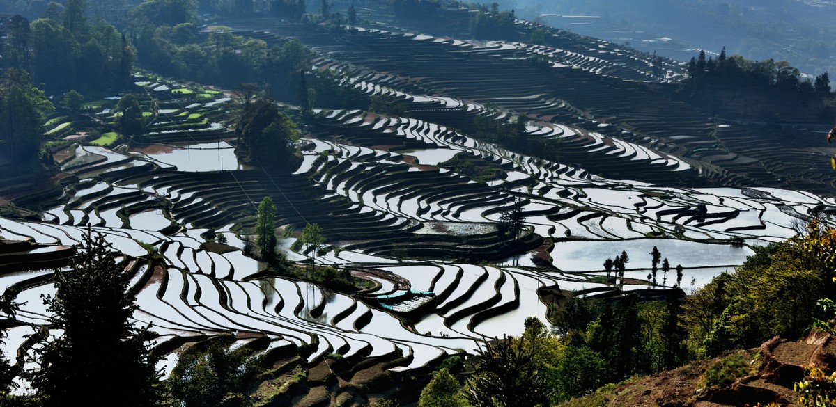 元阳梯田【2】
