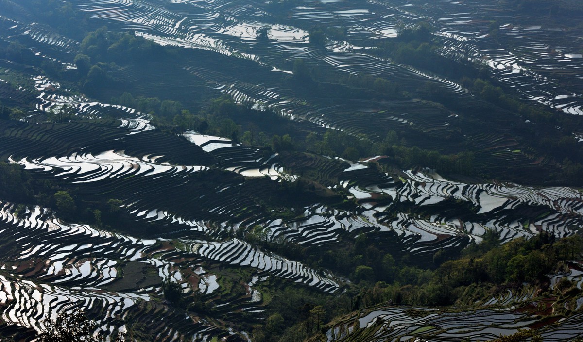 元阳梯田【2】