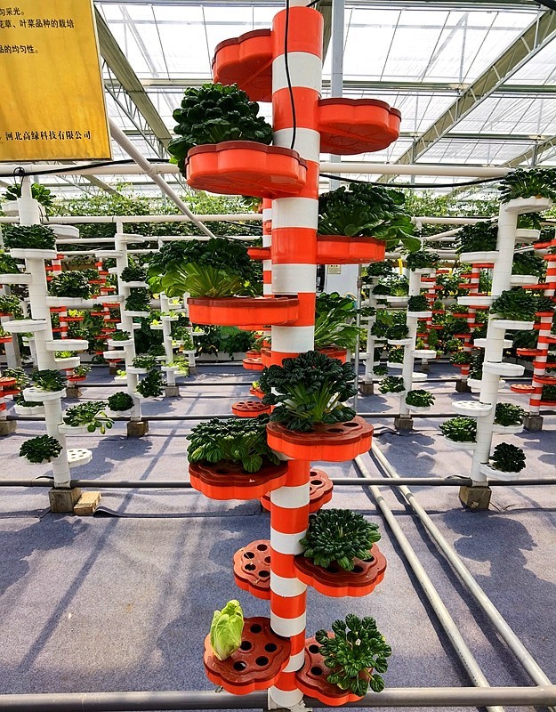 G03【不老松：纪实摄影】高绿科技智慧农业园！(09)