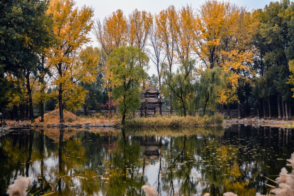 大明湖浩然亭图片