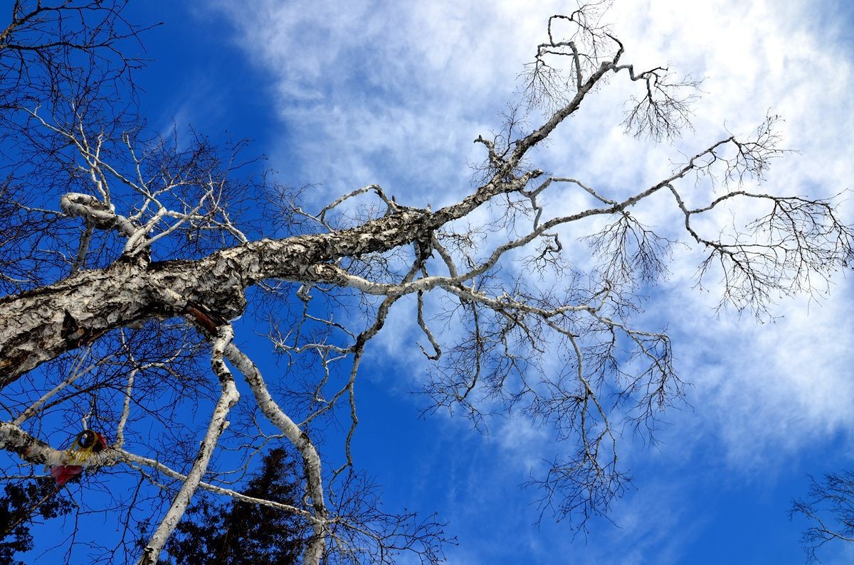 亚布力——二浪河子雪乡游拍（4）