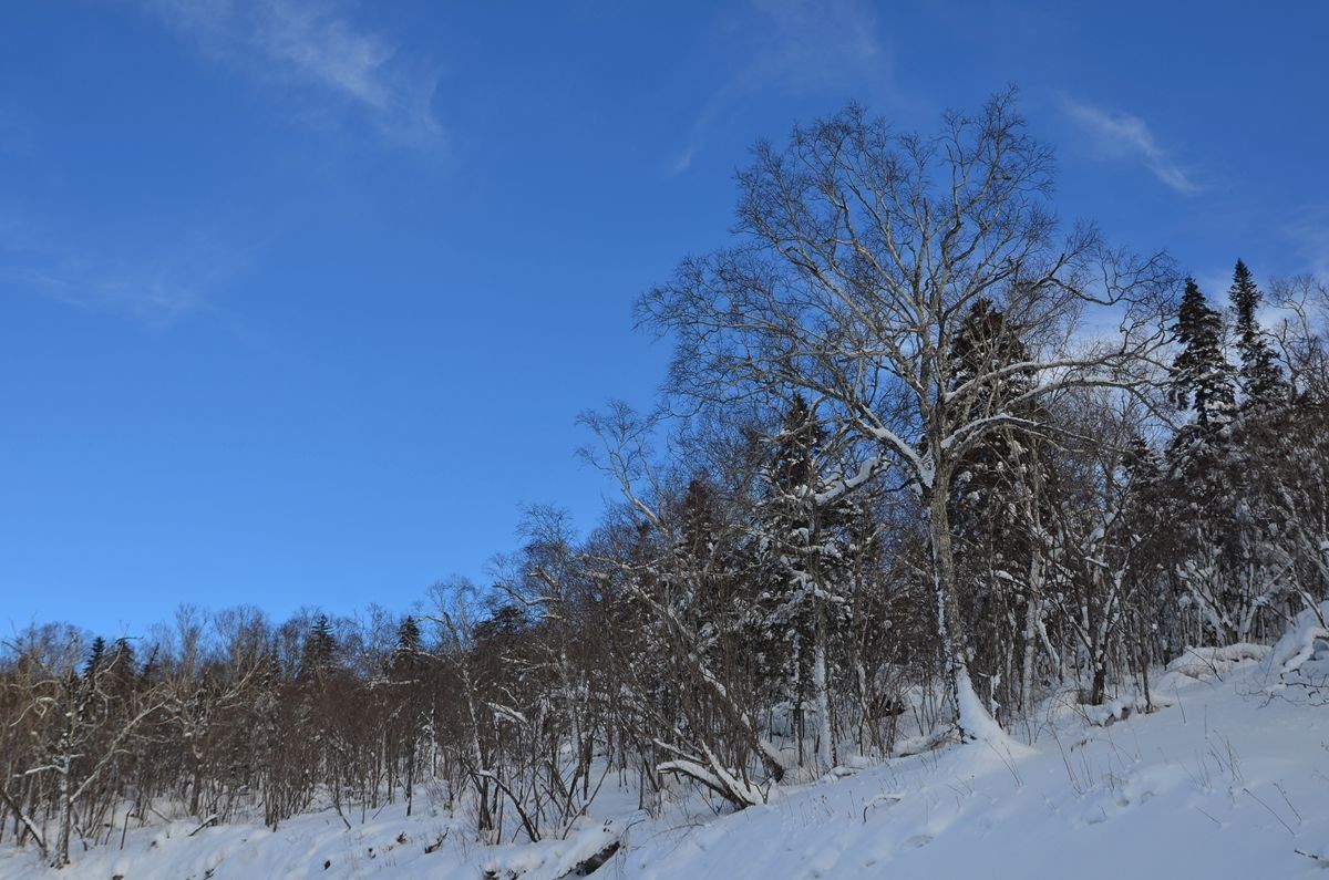 亚布力——二浪河子雪乡游拍（4）