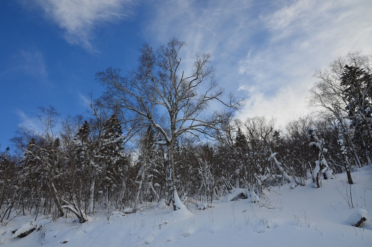 亚布力——二浪河子雪乡游拍（4）