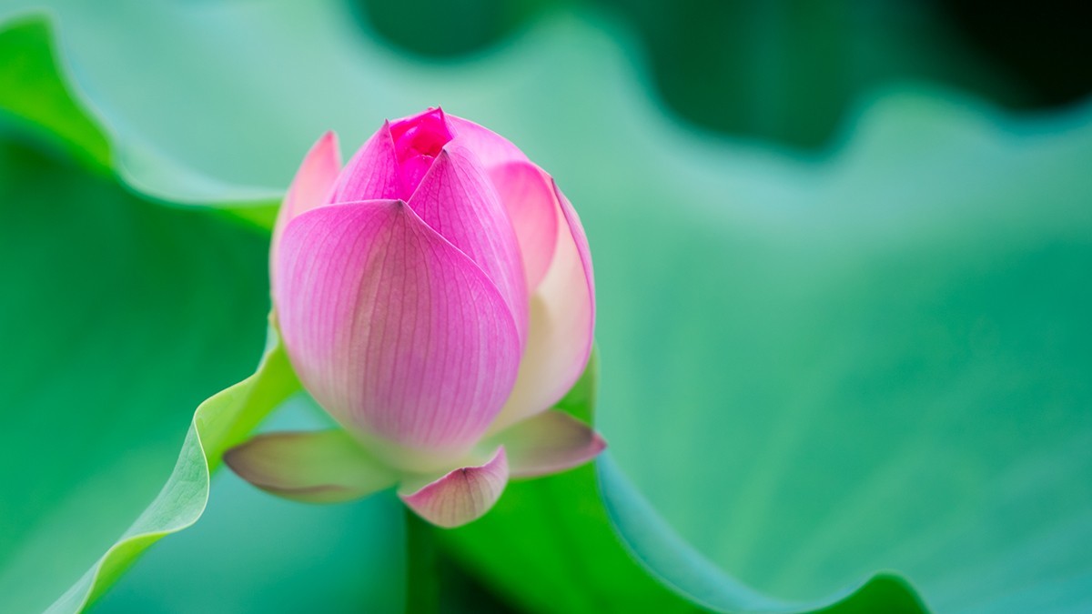 池塘乱拍！！！！！！！！