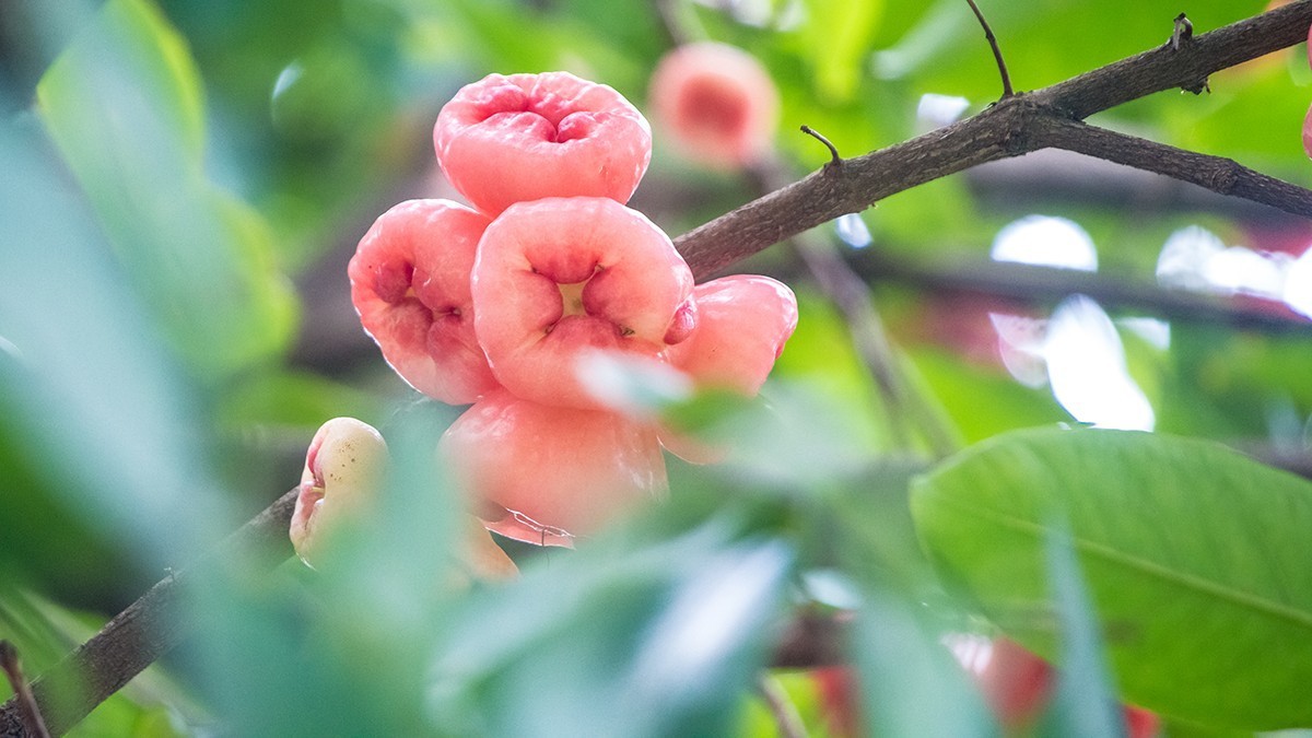 池塘乱拍！！！！！！！！