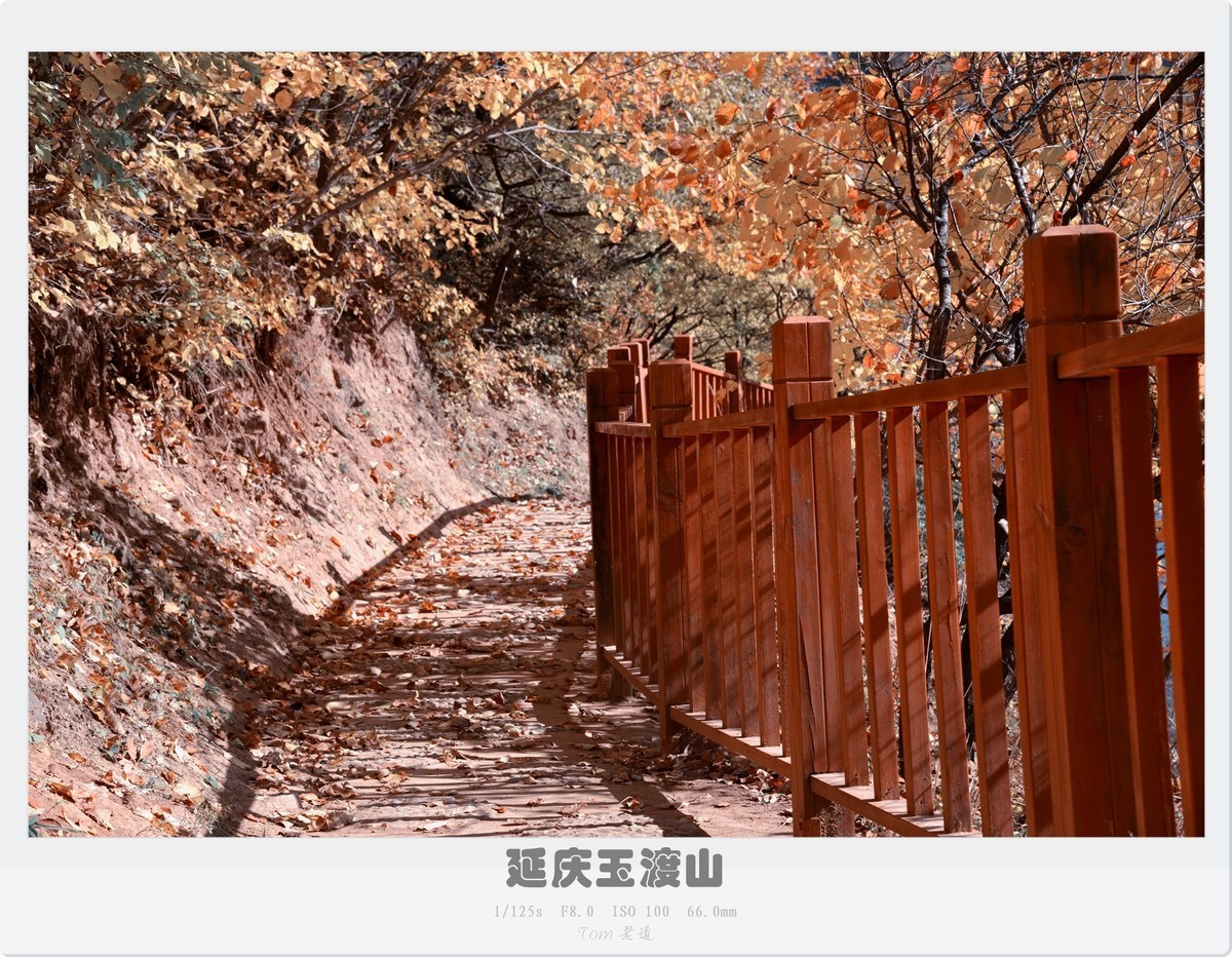 延庆玉渡山斑斓秋色