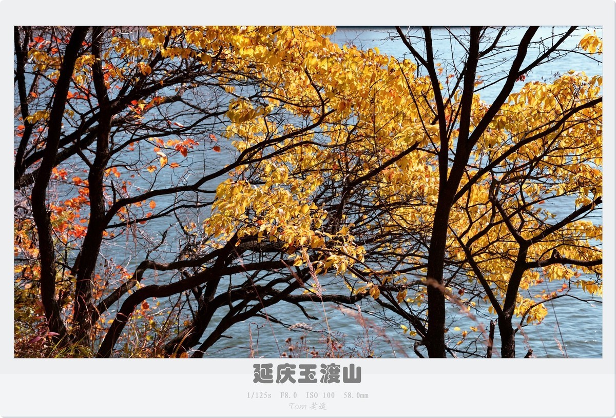 延庆玉渡山斑斓秋色