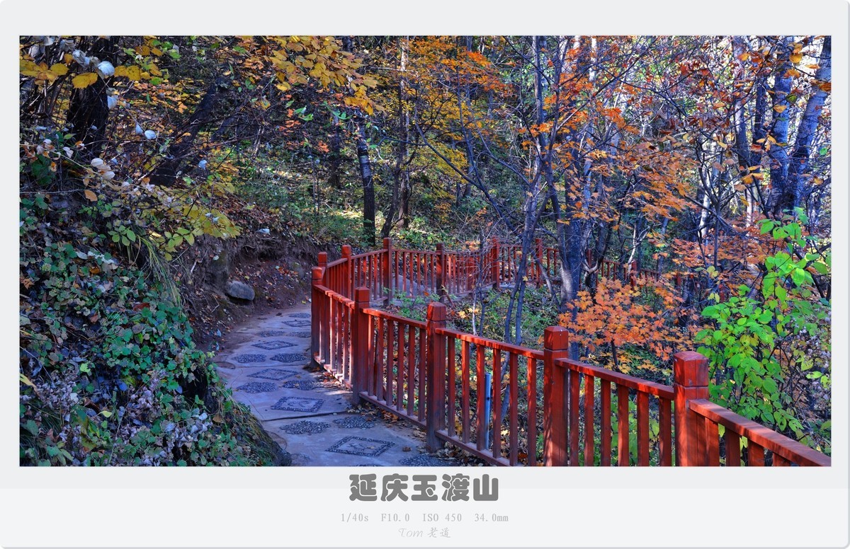 延庆玉渡山斑斓秋色