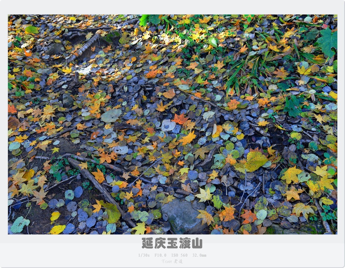 延庆玉渡山斑斓秋色