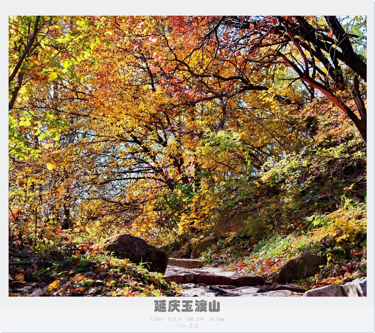 延庆玉渡山斑斓秋色