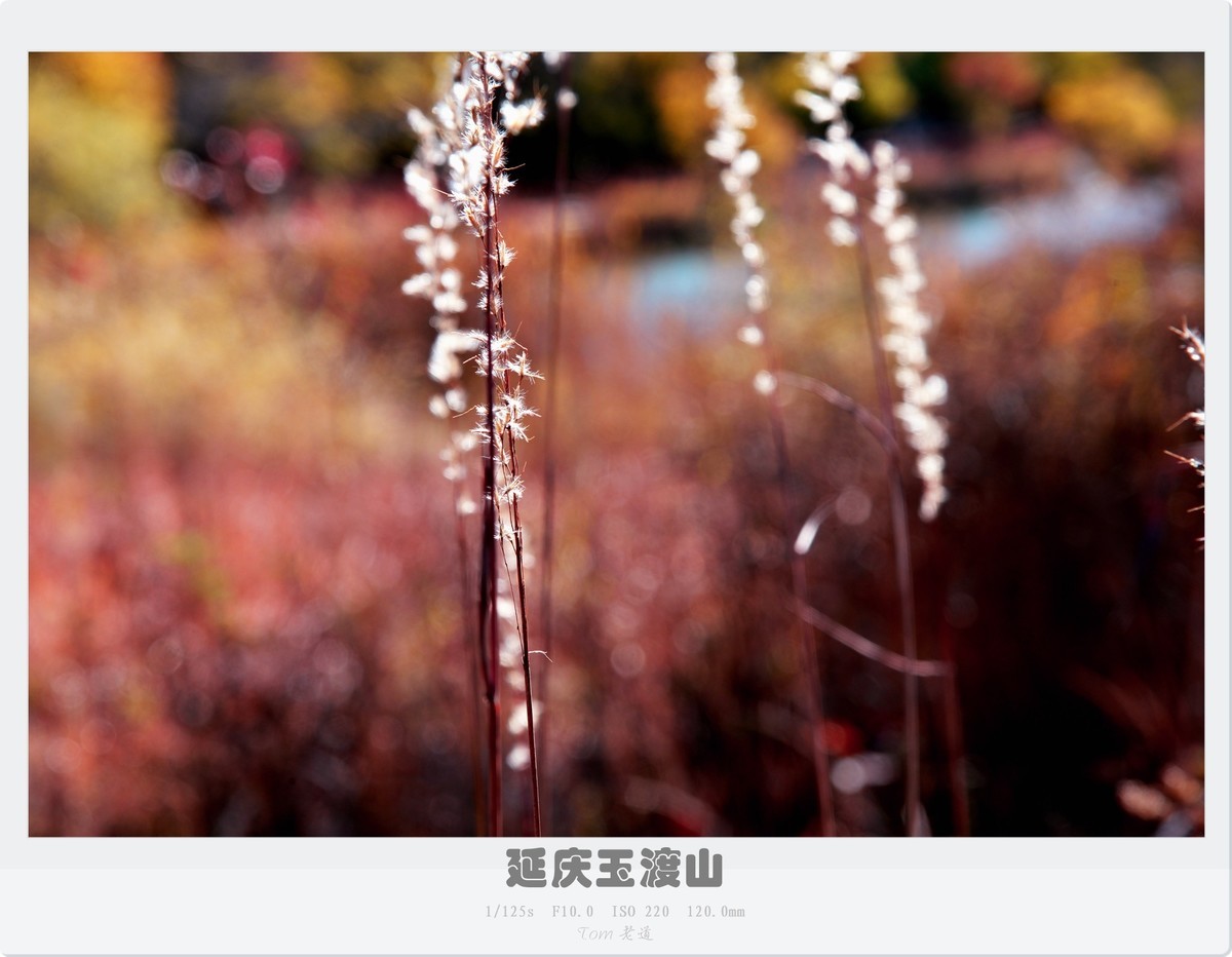 延庆玉渡山斑斓秋色