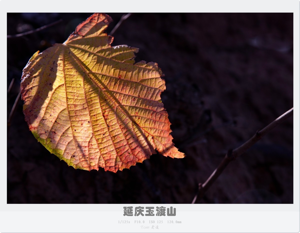 延庆玉渡山斑斓秋色