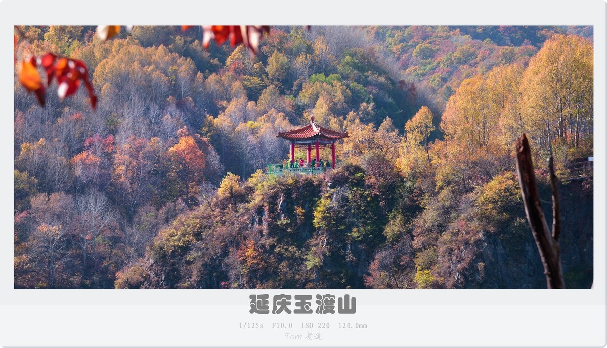 延庆玉渡山斑斓秋色