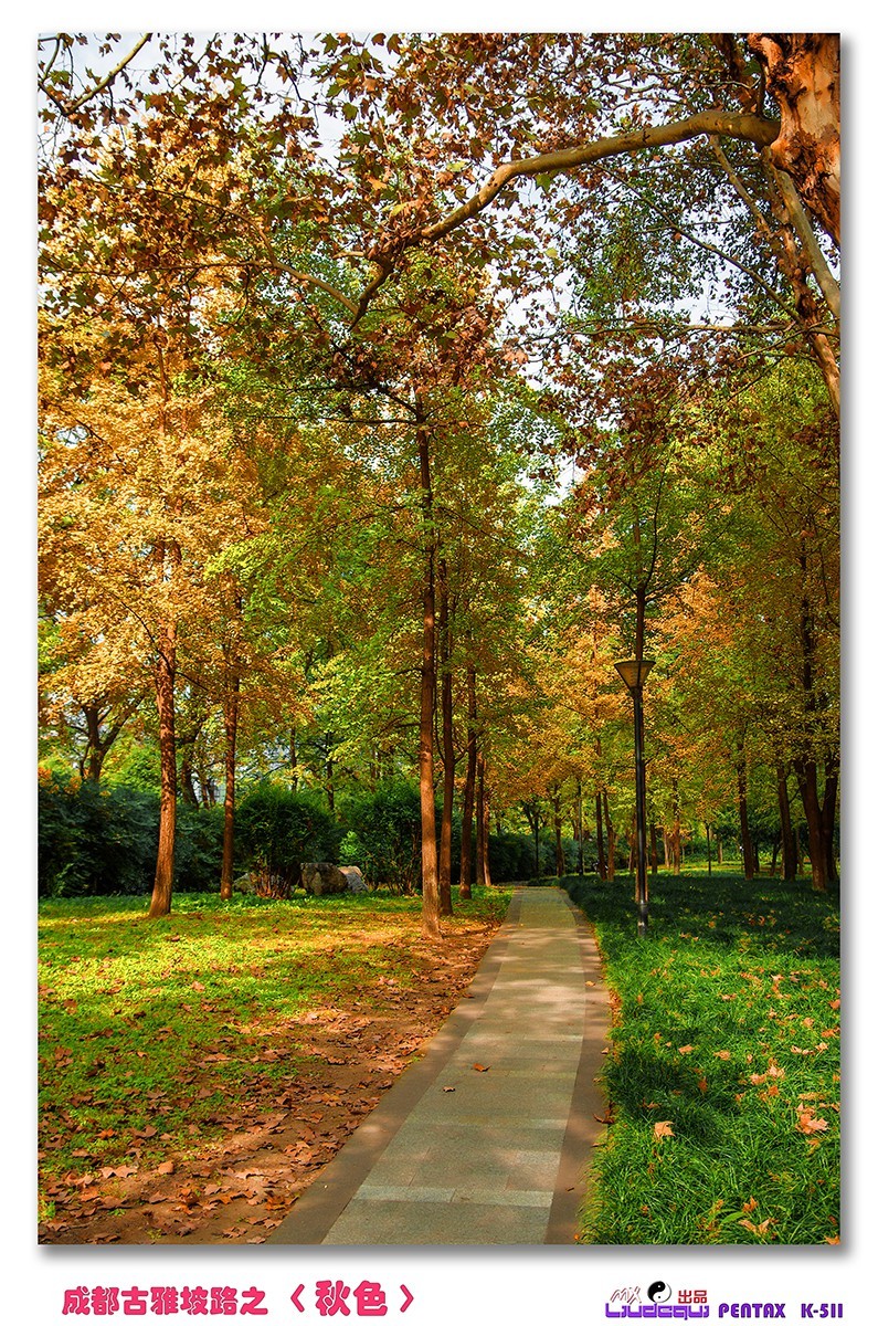 古雅坡路之〈秋色〉