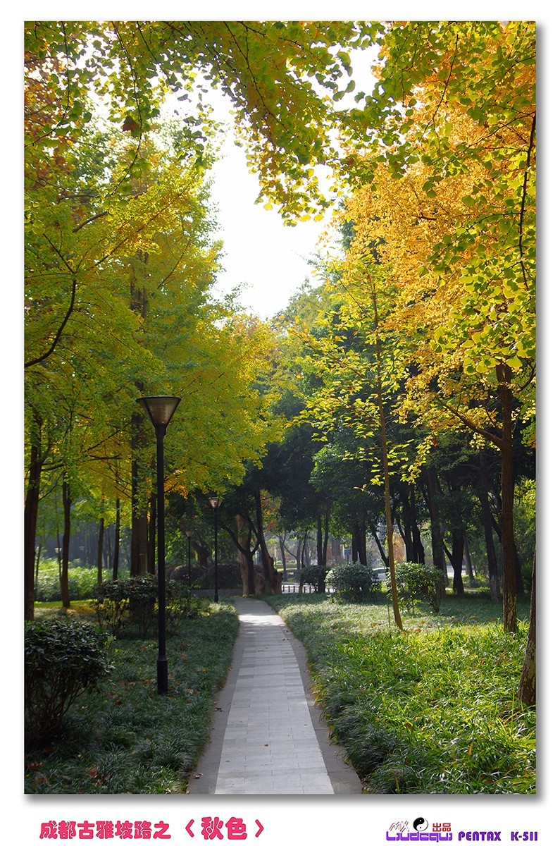 古雅坡路之〈秋色〉
