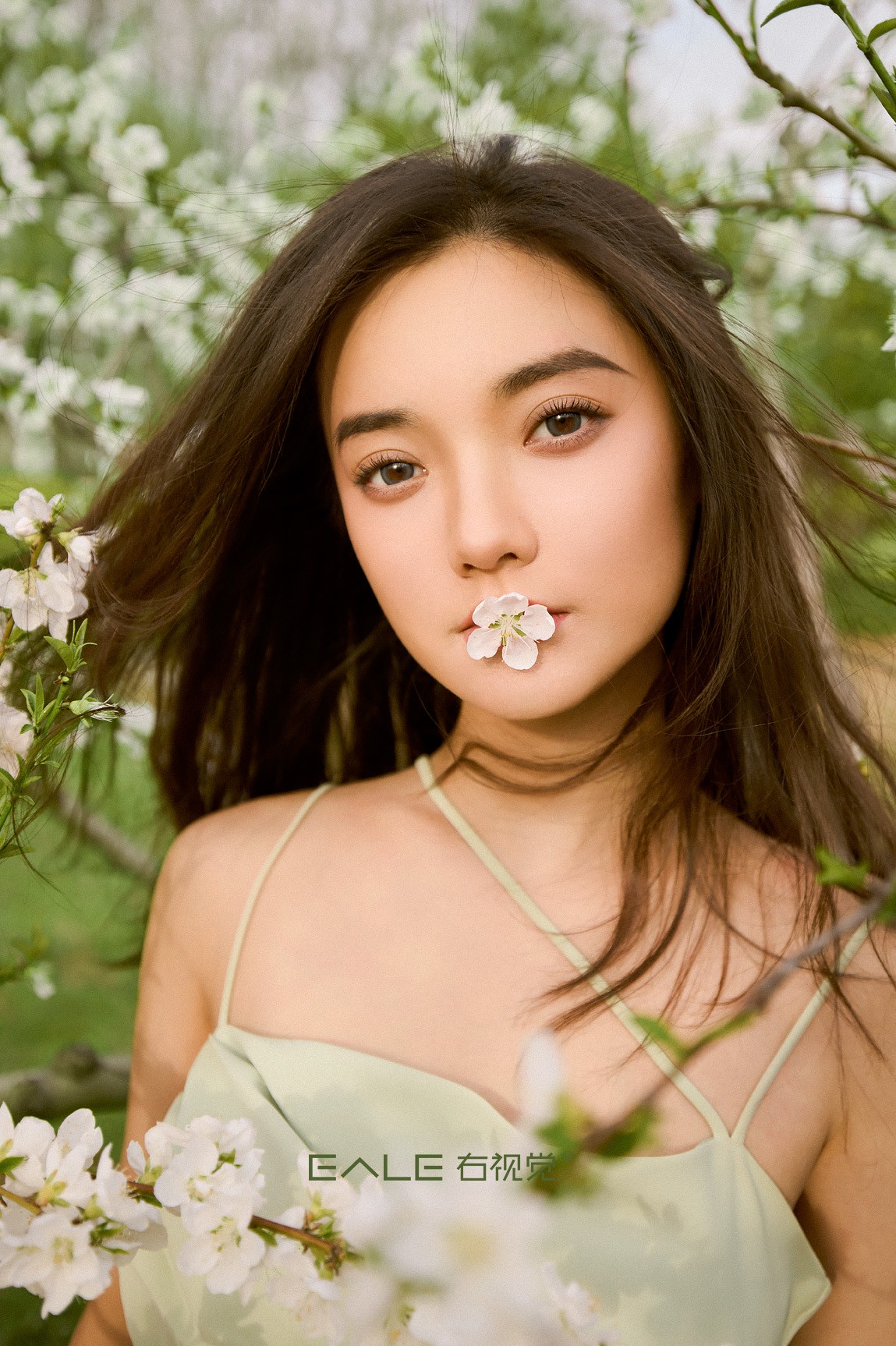 【右视觉摄影】四月花语