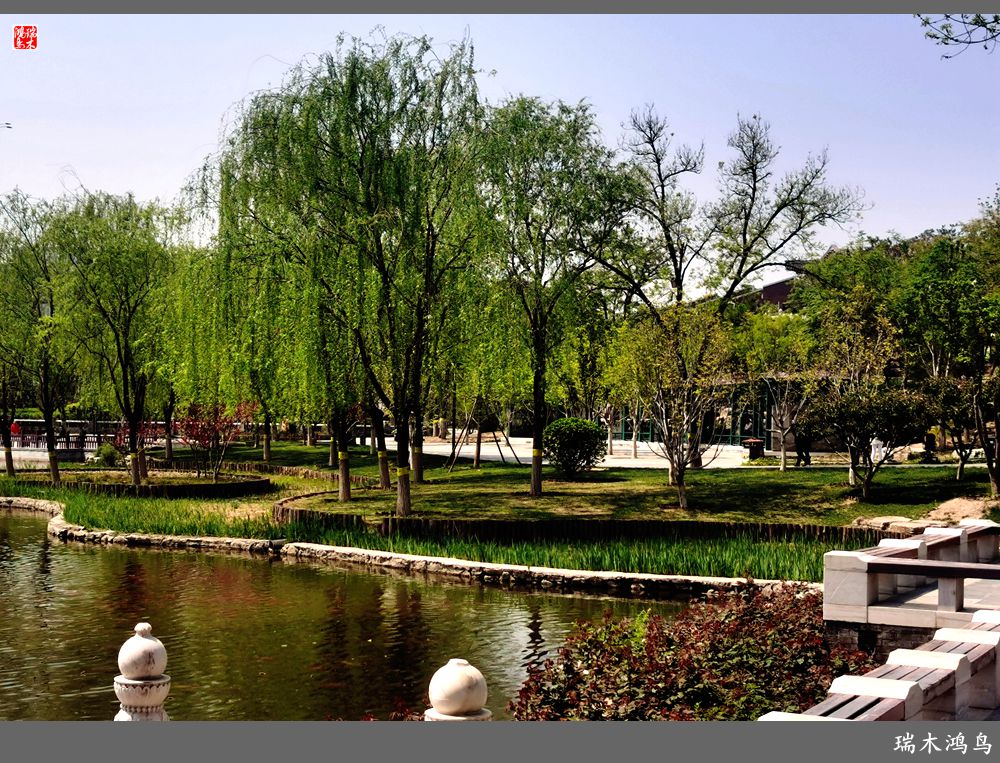 【说古话今大运河】西海子春色