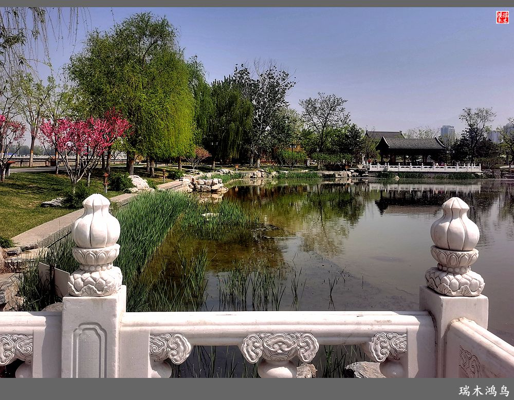 【说古话今大运河】西海子春色