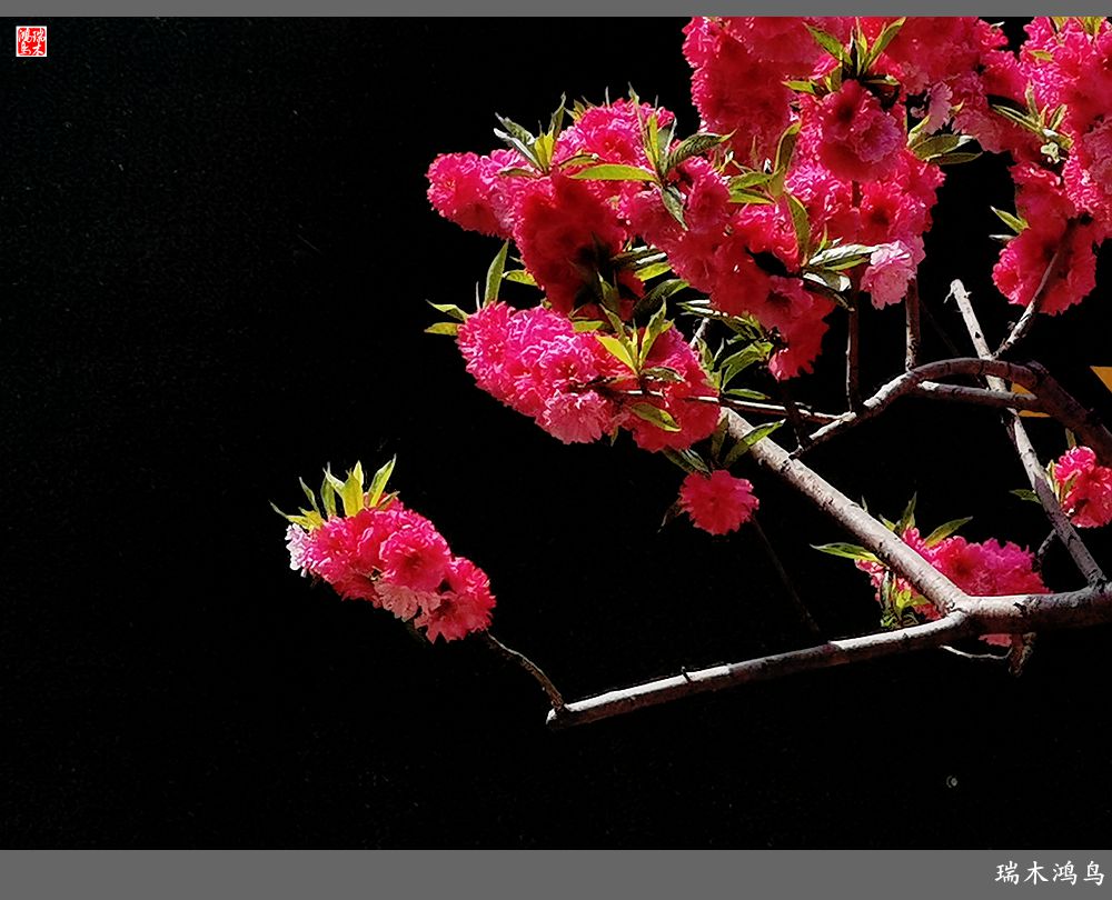 【说古话今大运河】西海子春色