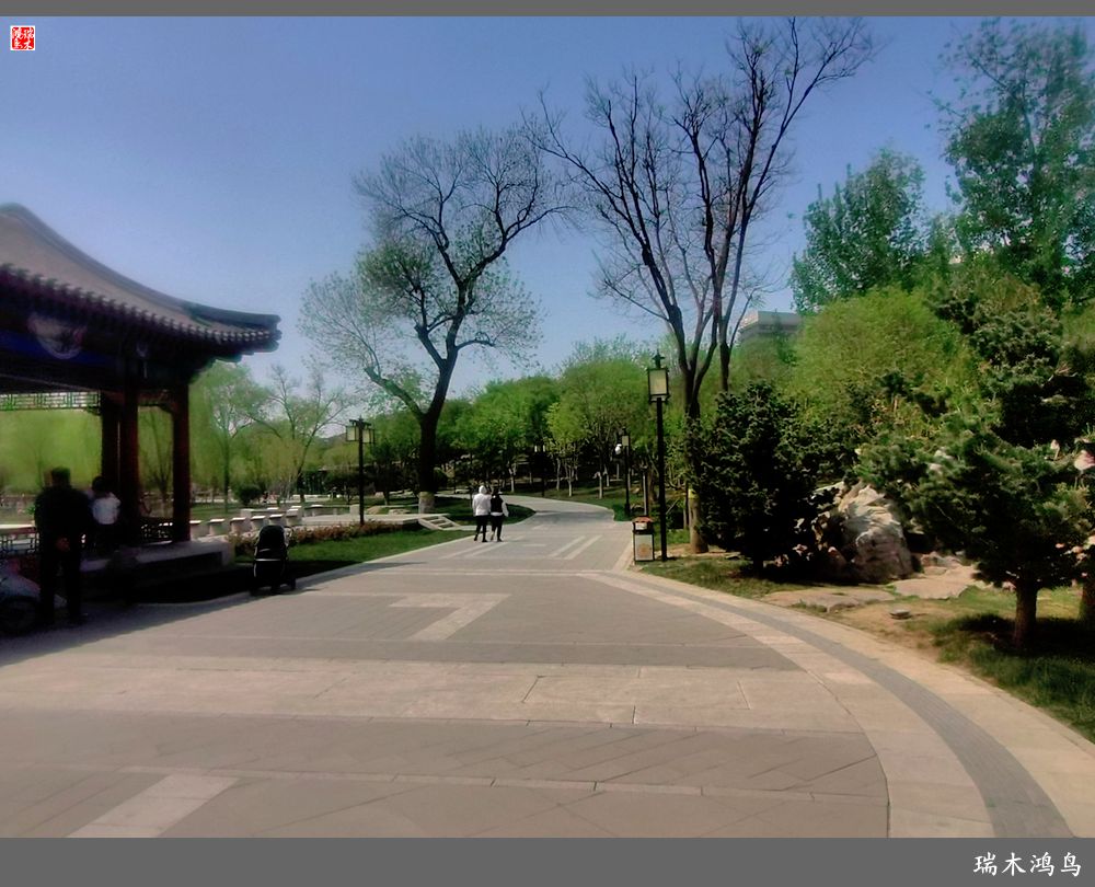 【说古话今大运河】西海子春色