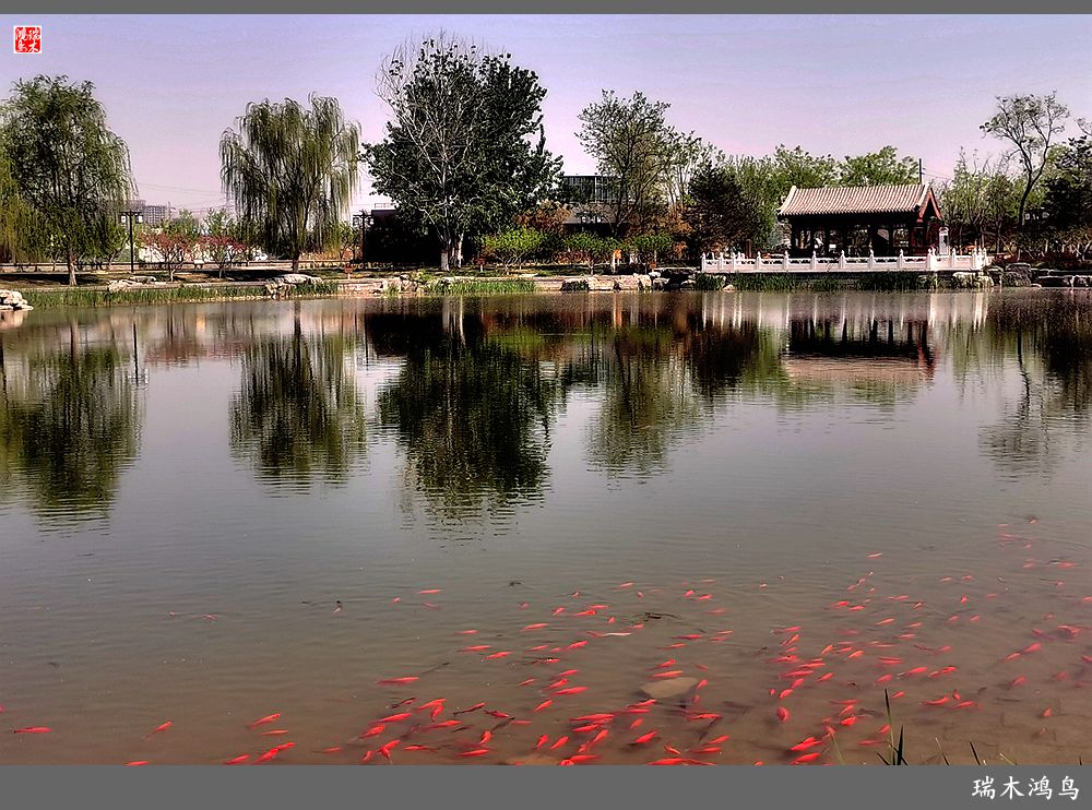 【说古话今大运河】西海子春色