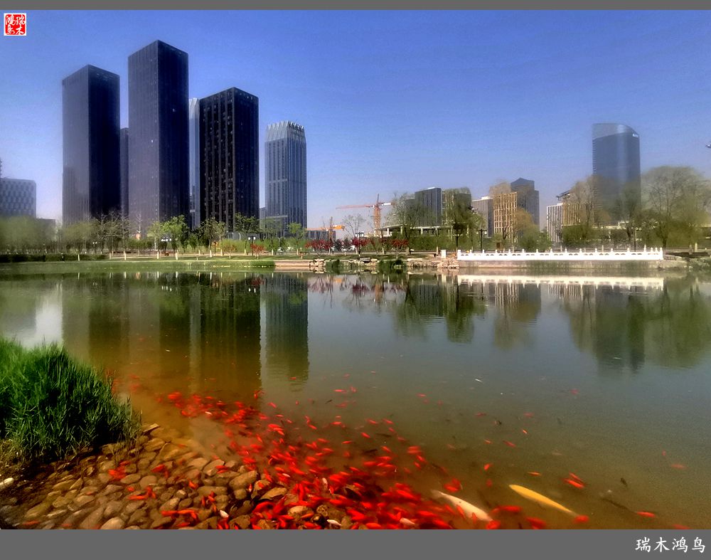 【说古话今大运河】西海子春色