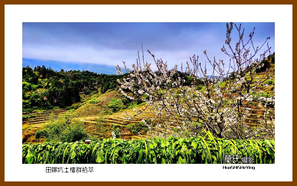 2022南行慢游（福建016）—田螺坑土楼群拾萃（漳州市南靖县）