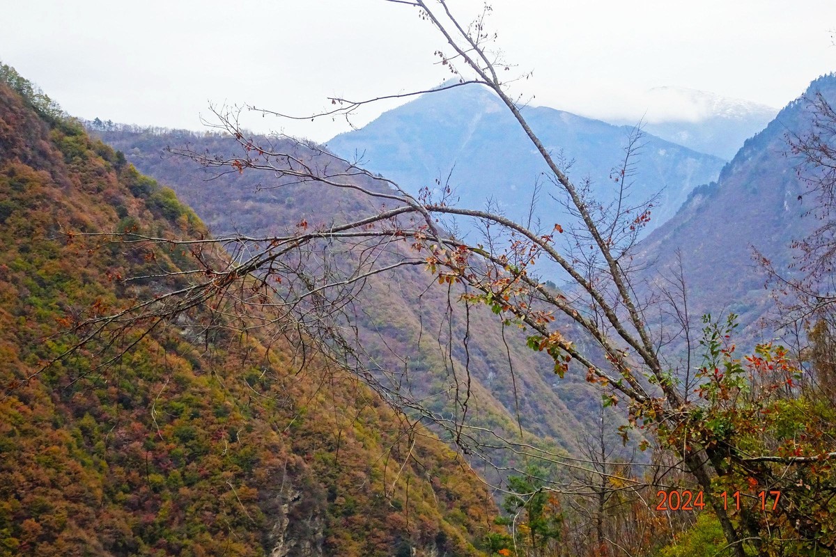 白河文明用语自然保护区
