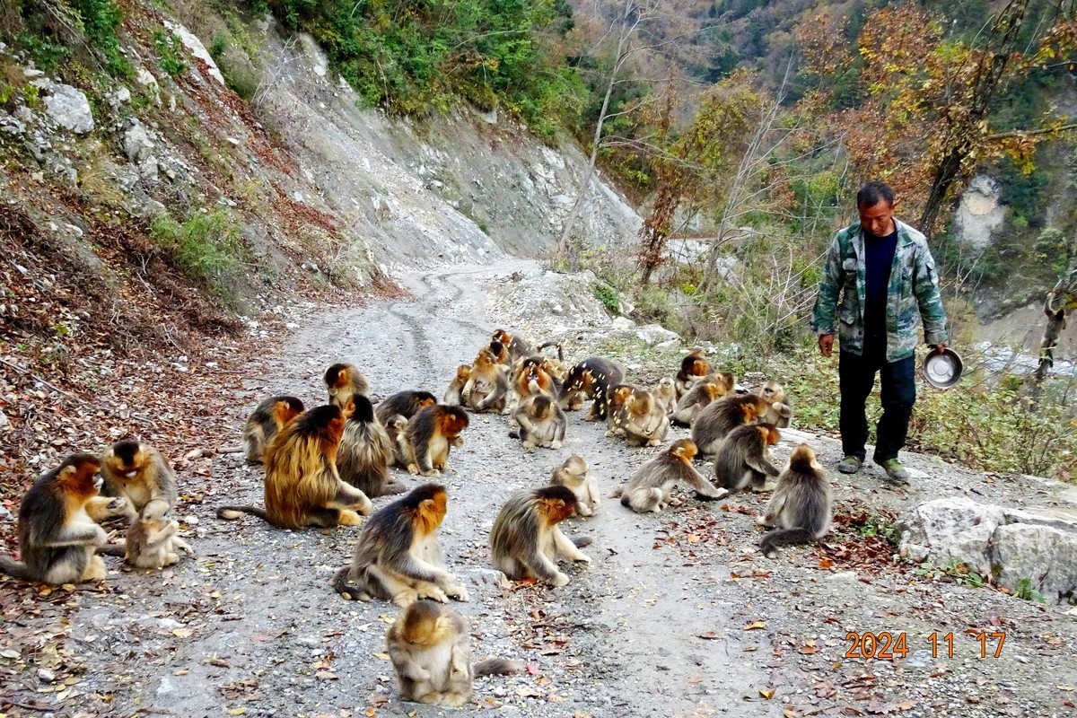 白河文明用语自然保护区