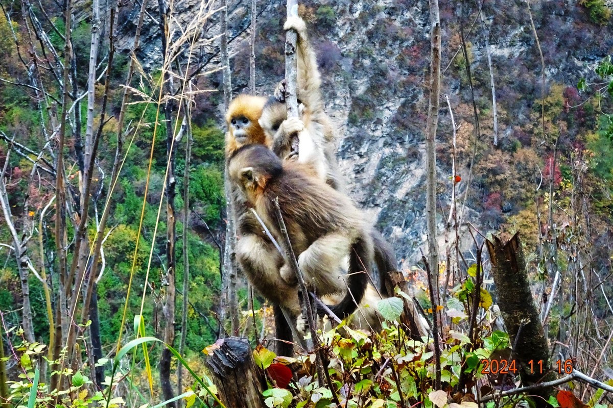 白河文明用语自然保护区