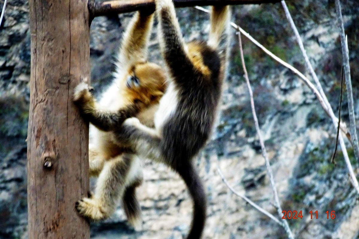 白河文明用语自然保护区