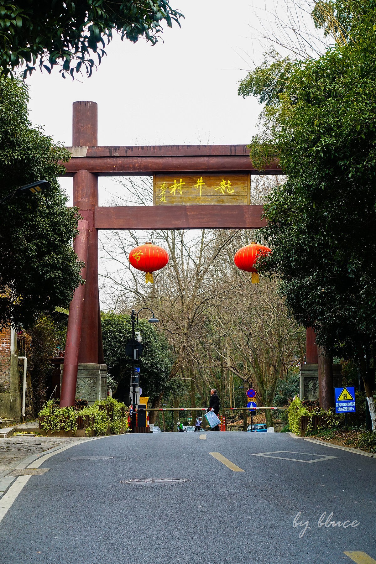 十里琅珰观茶园