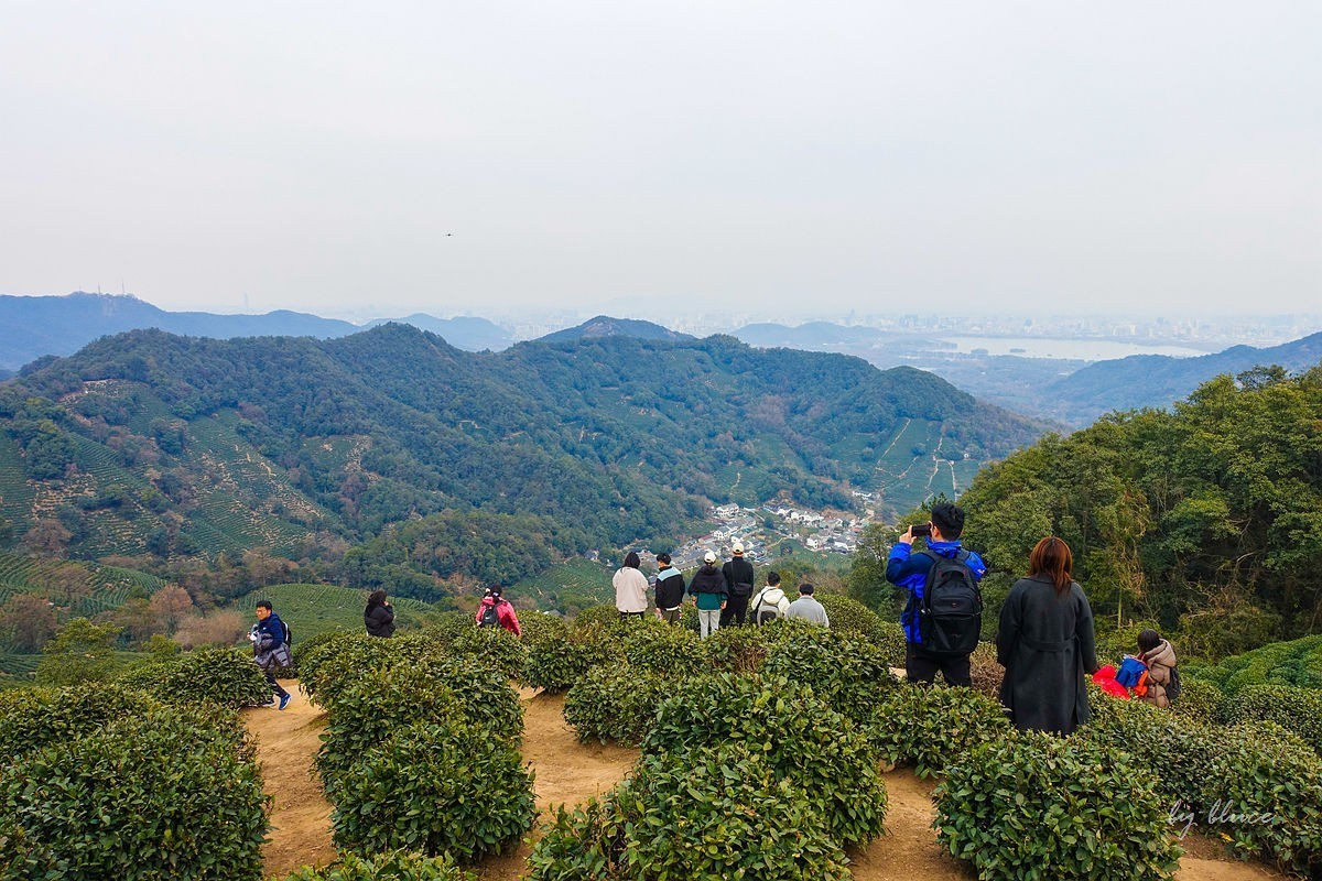 十里琅珰观茶园