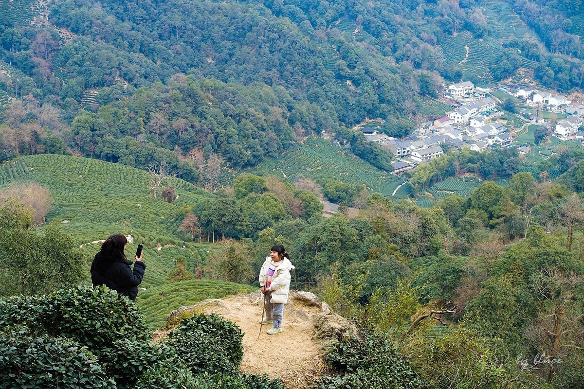 十里琅珰观茶园