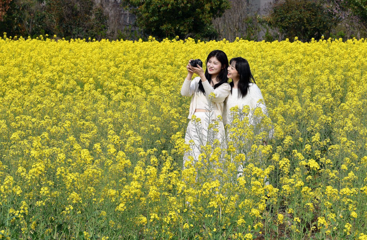 2024年回顾/春拍