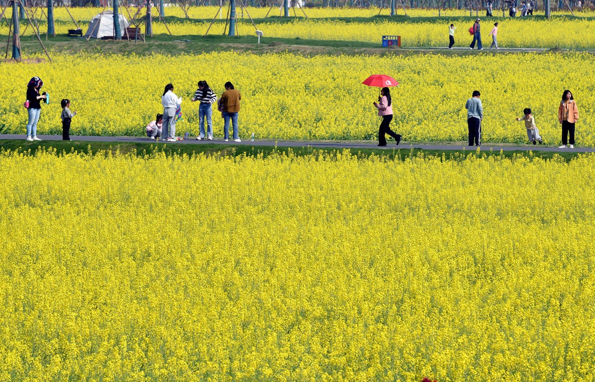 2024年回顾/春拍