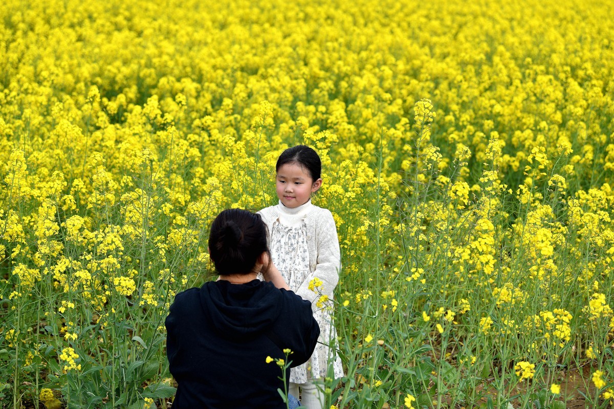 2024年回顾/春拍