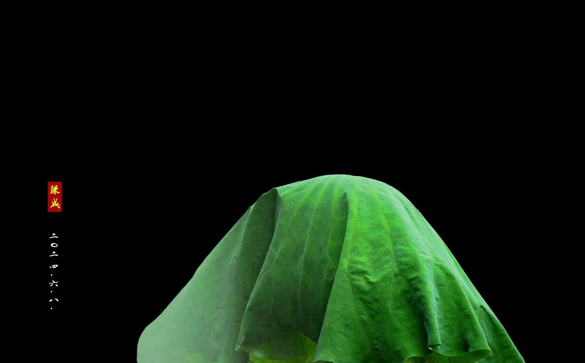 回忆旧荷                 二0二五..二.十六.