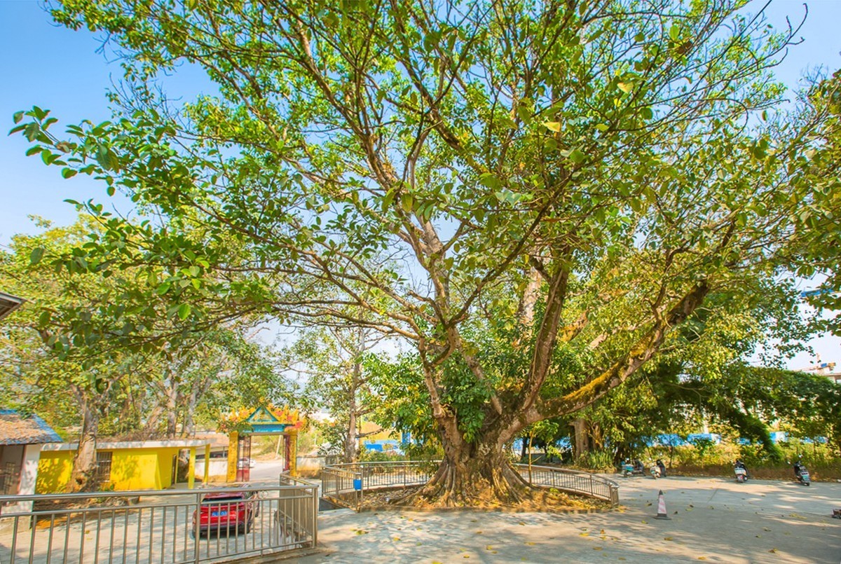 2025-04-09云南瑞丽姐勒金塔（一）