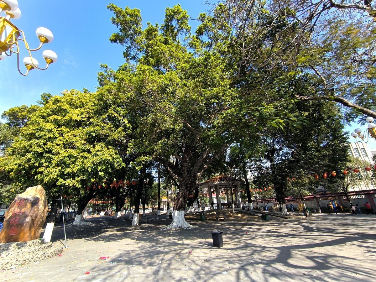 2025春节 广东行（43）潮南历史   峡山商场