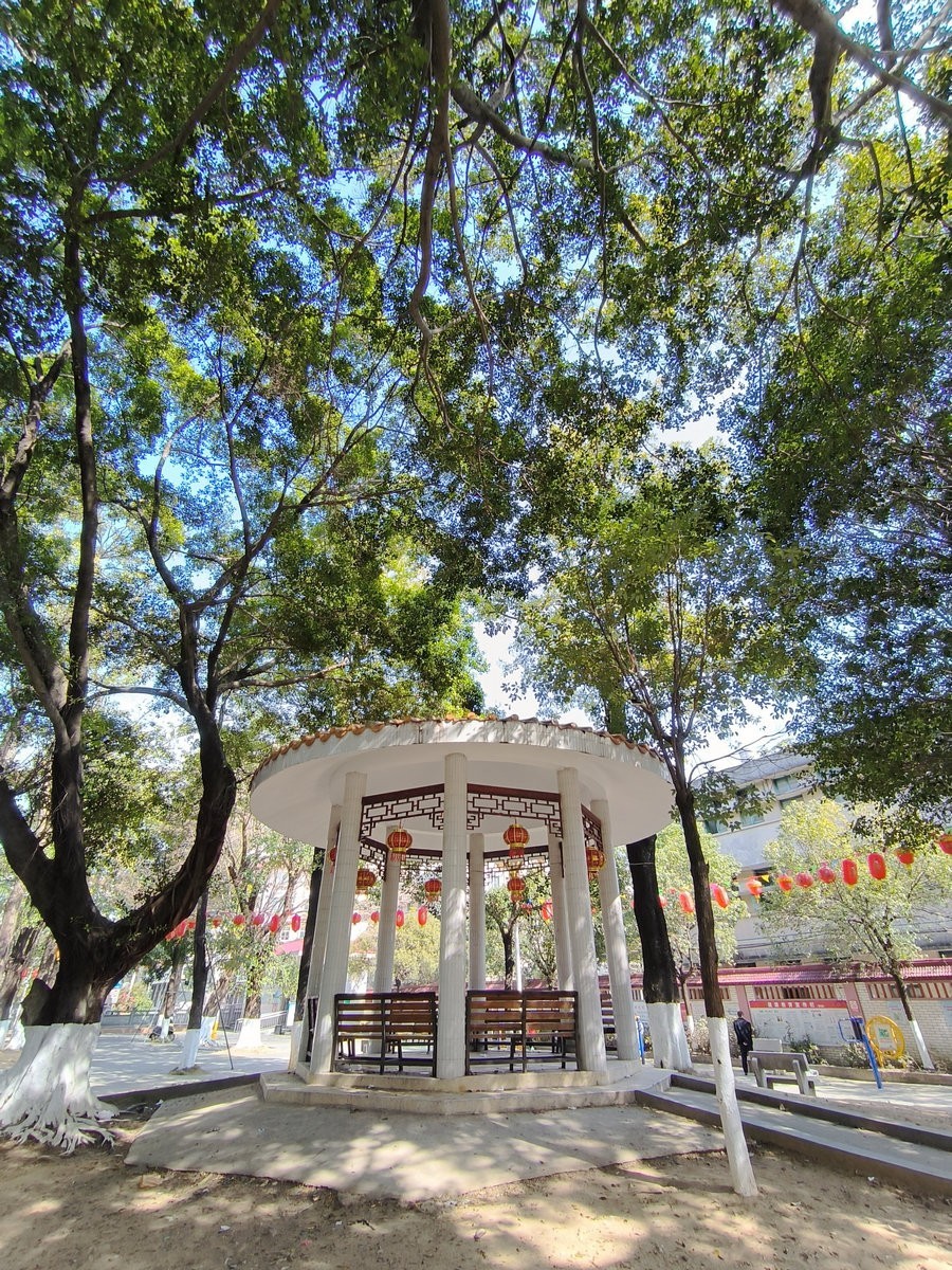 2025春节 广东行（43）潮南历史   峡山商场