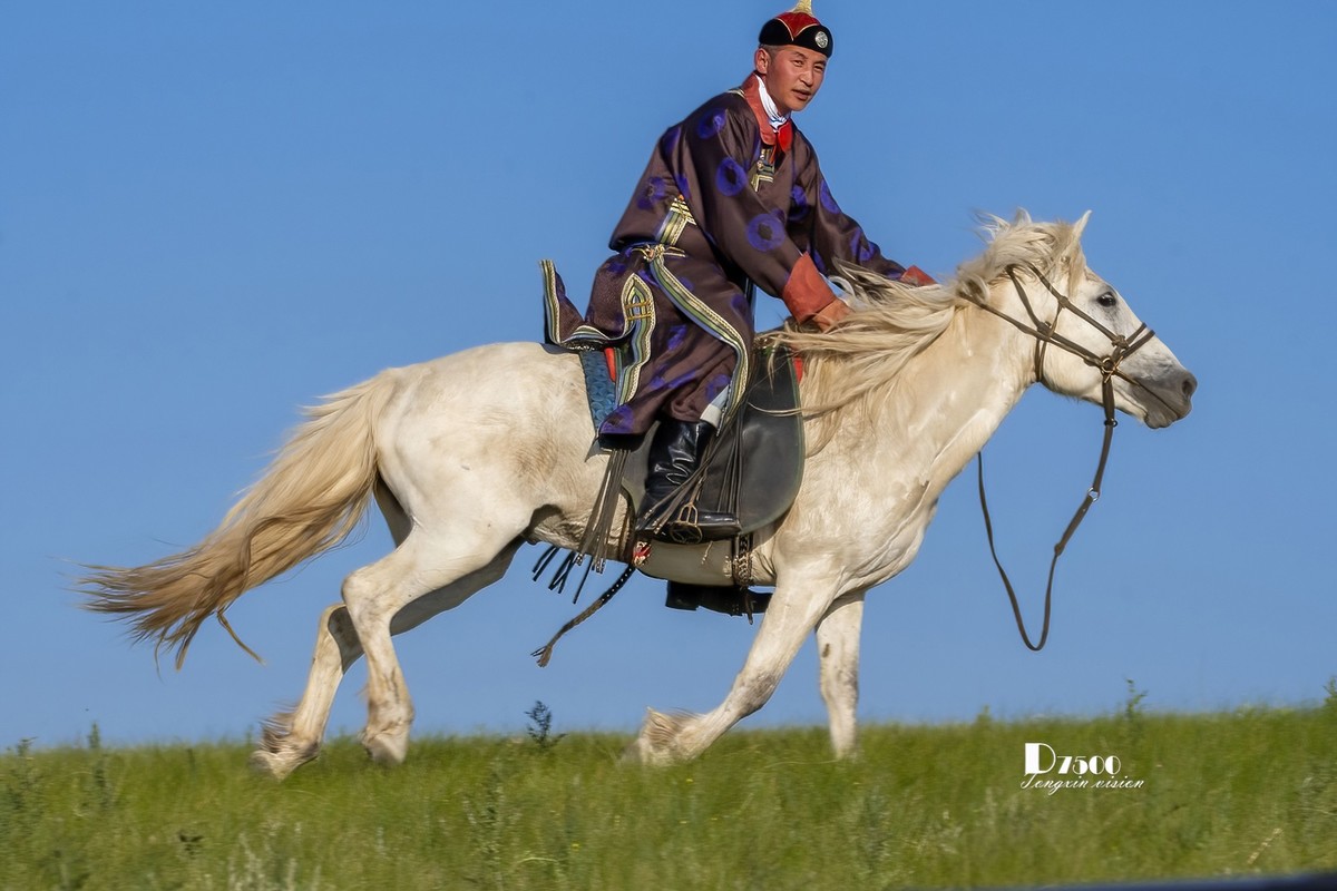 马背上的风采（10）