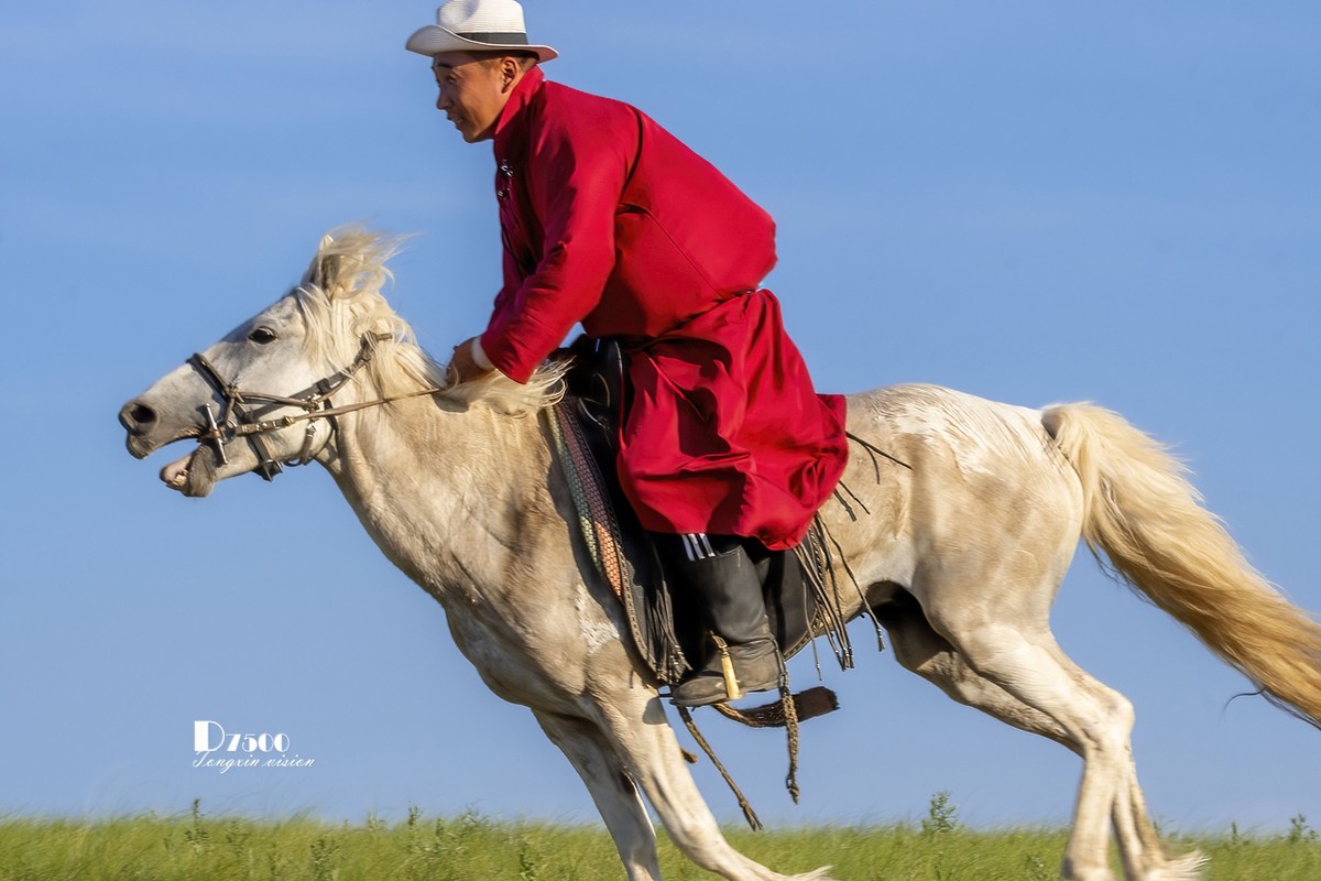 马背上的风采（10）