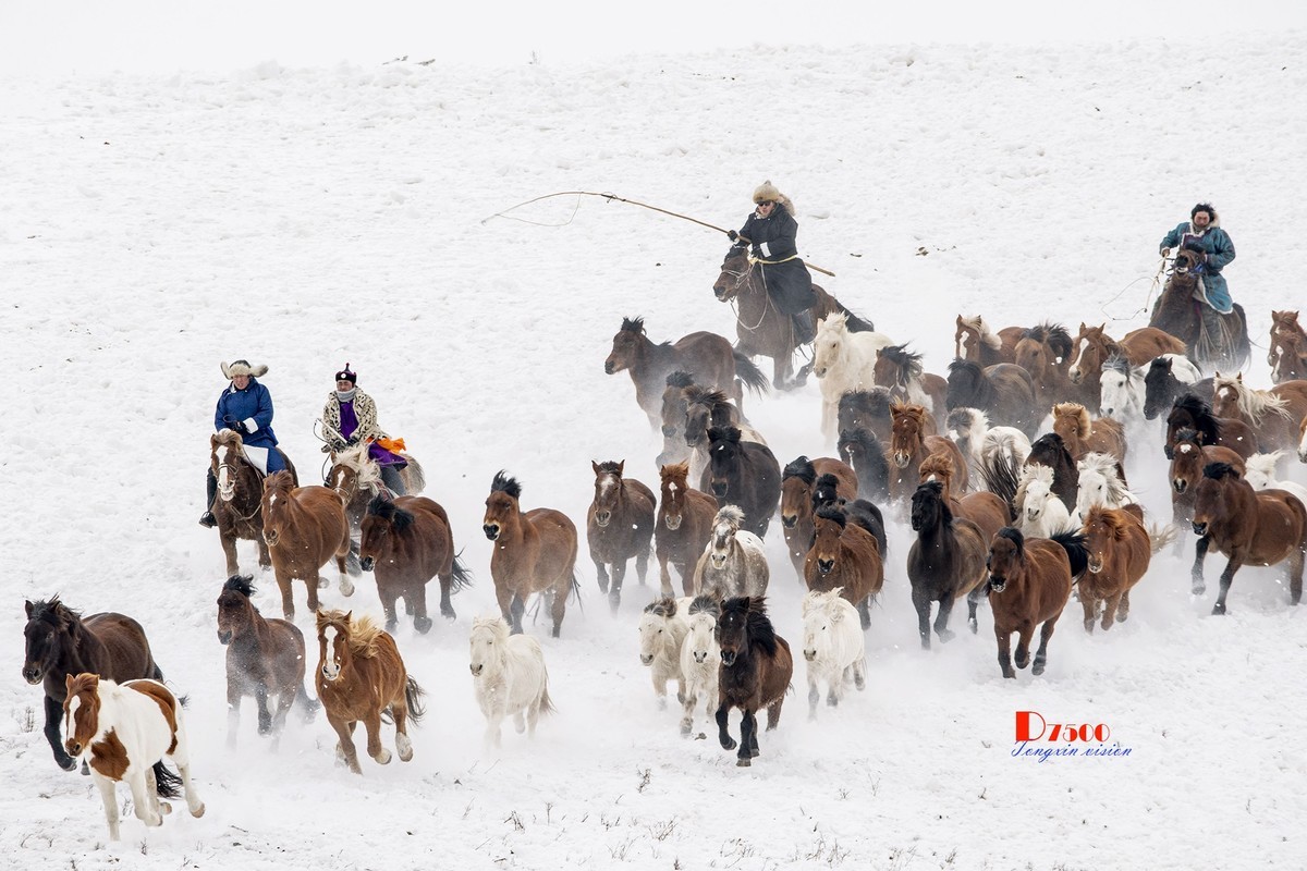 策马奔腾（73）