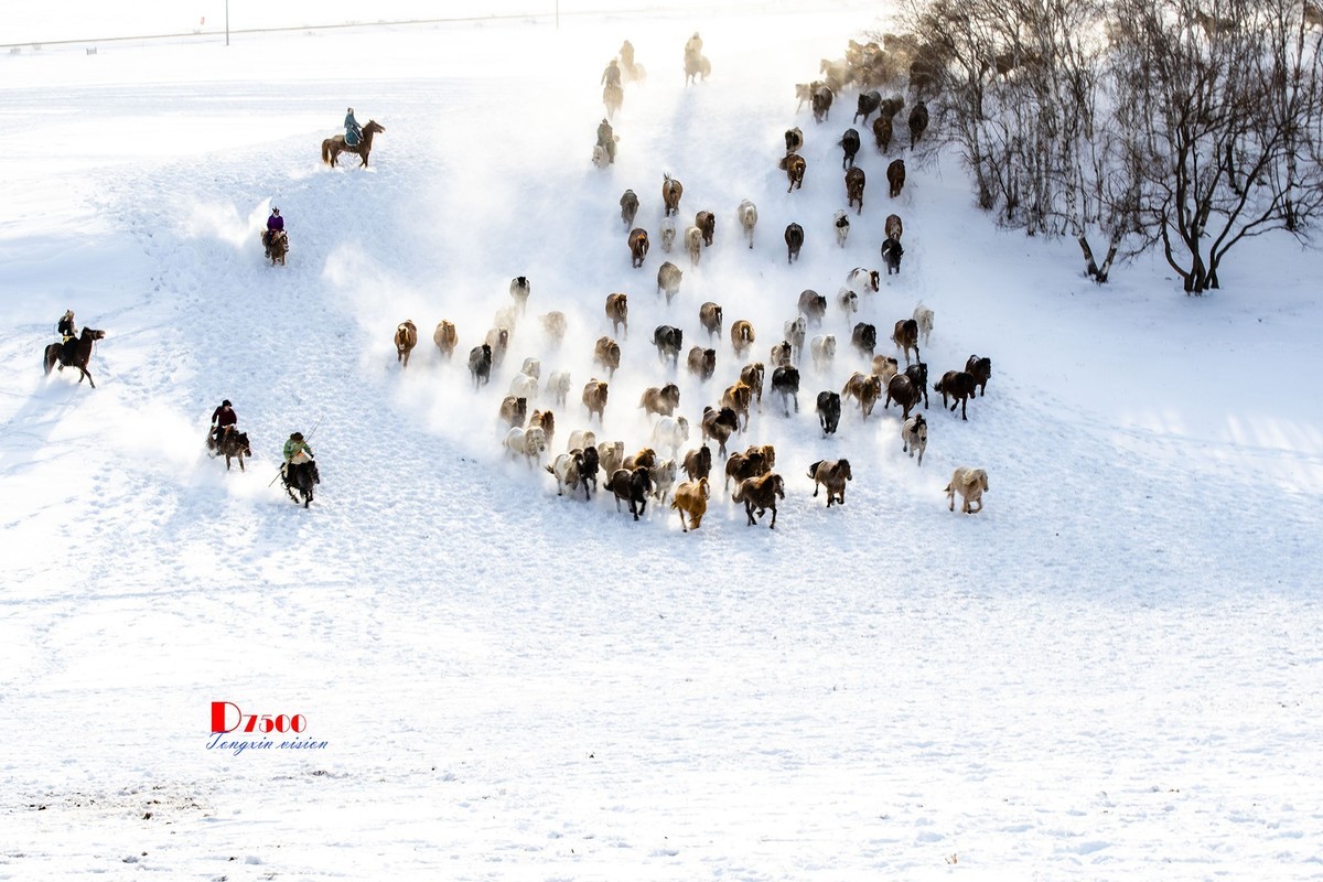 策马奔腾（73）