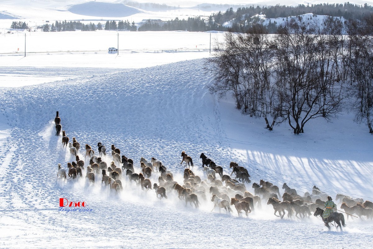 策马奔腾（73）